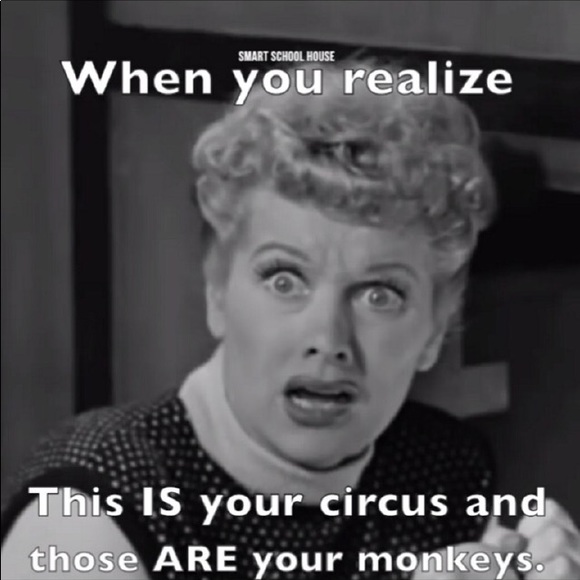 Meet your Posher, Tara - Picture 3 of 6